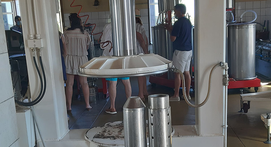 Private Olive Mill Tour