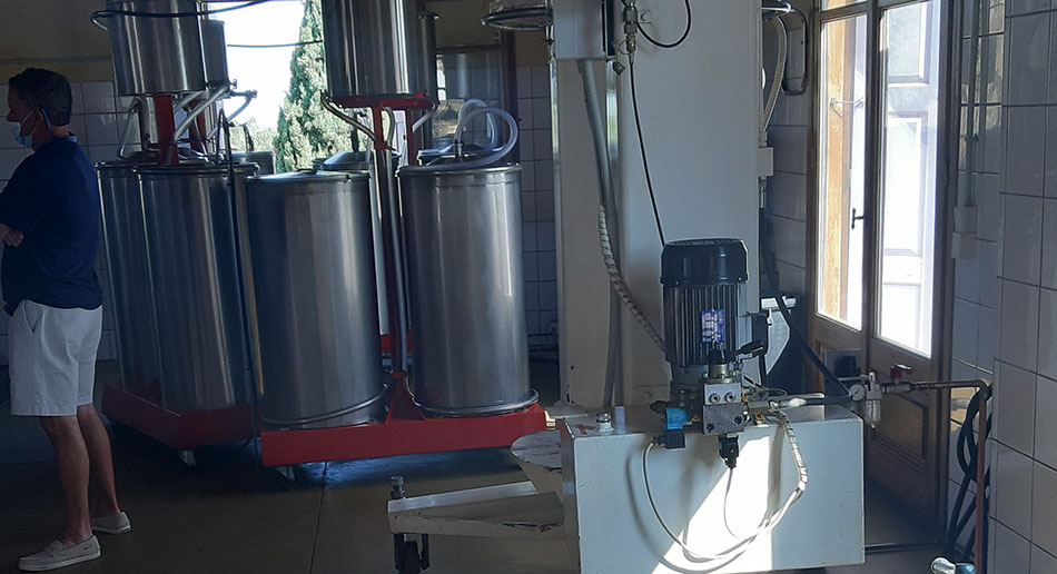 Private Olive Mill Tour