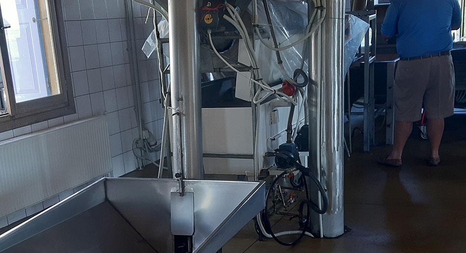 Private Olive Mill Tour