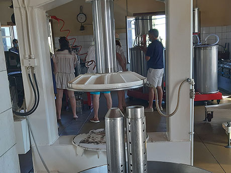 Private Olive Mill Tour
