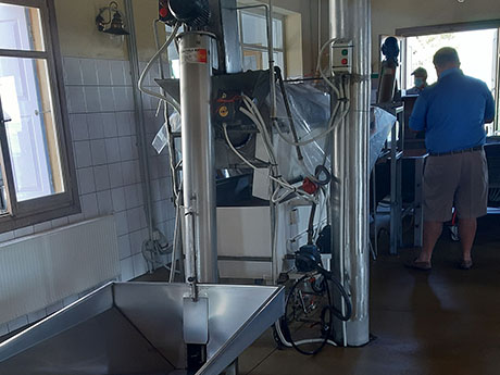 Private Olive Mill Tour