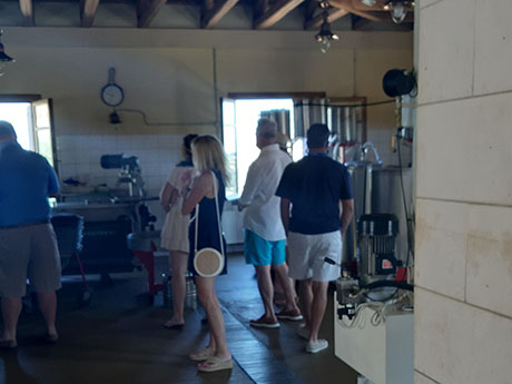 Private Olive Mill Tour