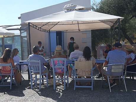 Private Olive Mill Tour