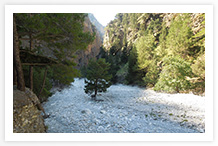 Samaria Gorge